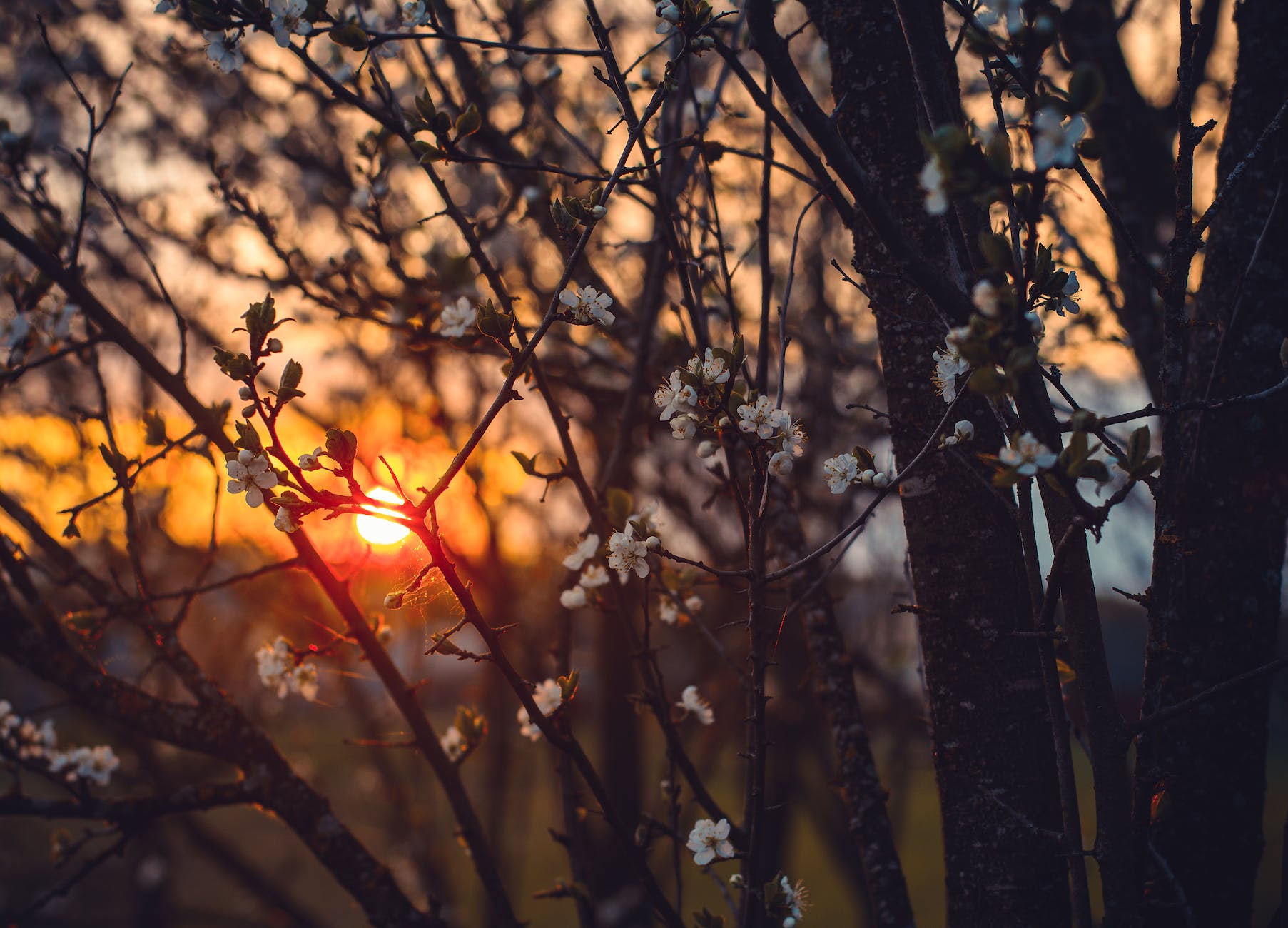 Emotions that Haunt Us: Part I