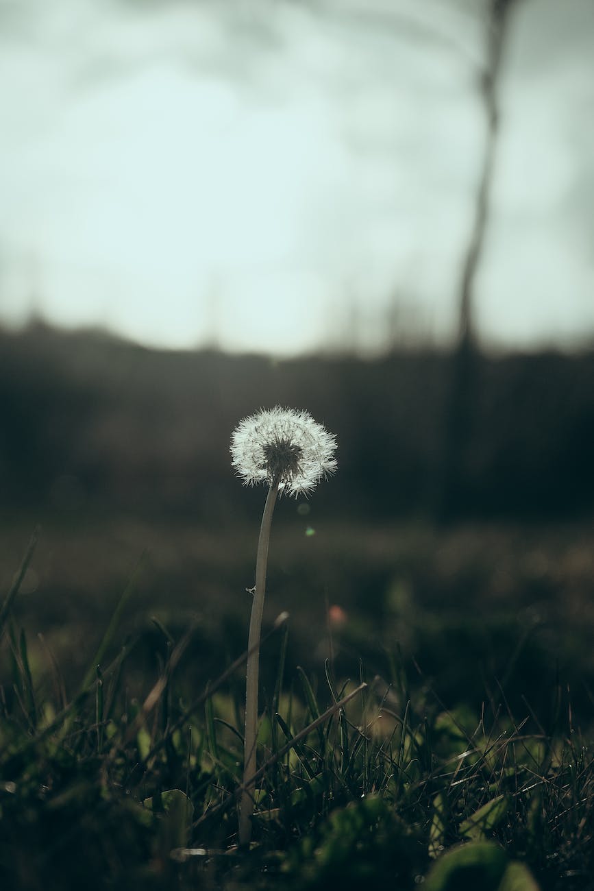 Focusing our Gratitude on Ourselves