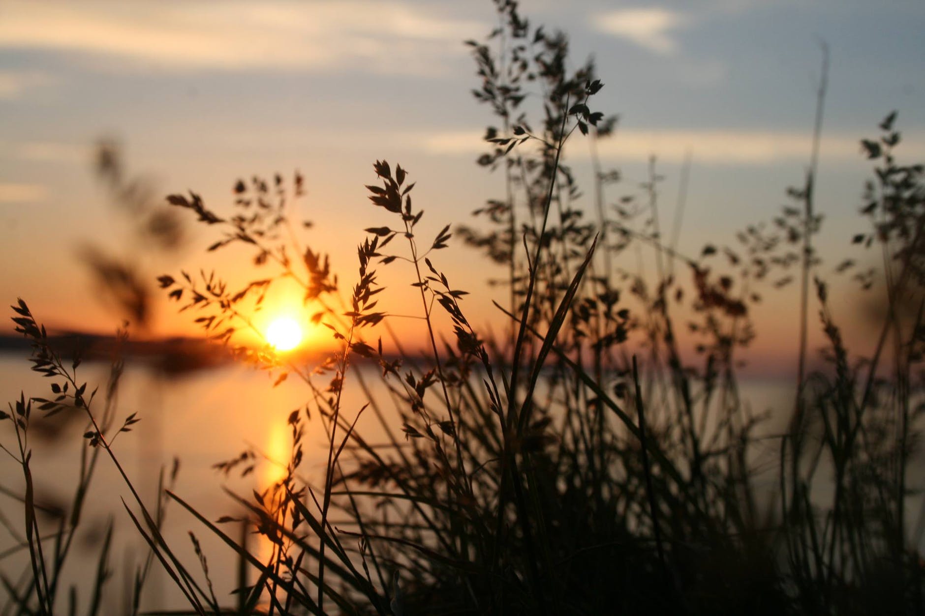 Your Past as a Powerful Teacher
