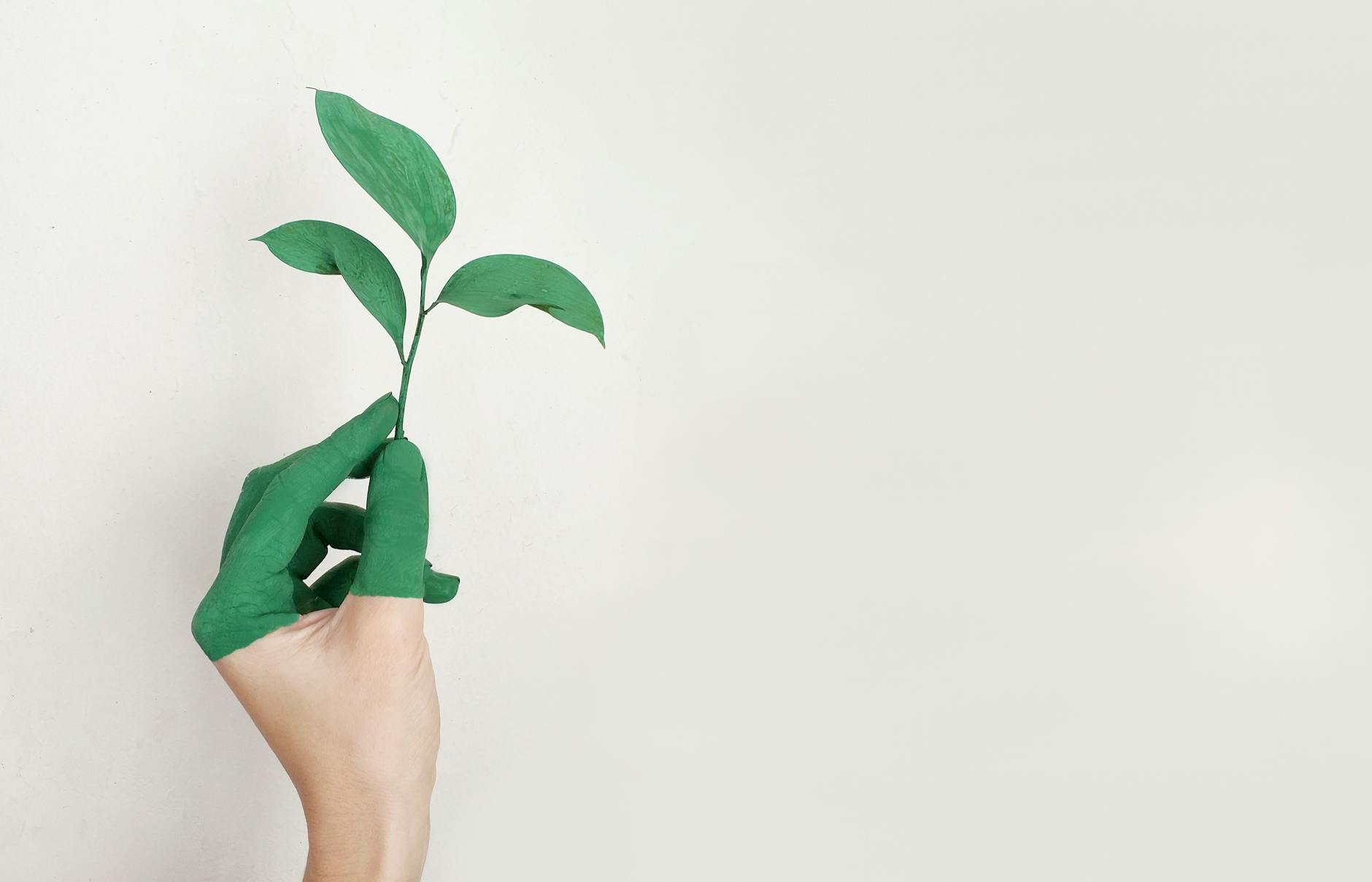 Thriving Beyond Fear: Embracing Growth and Change